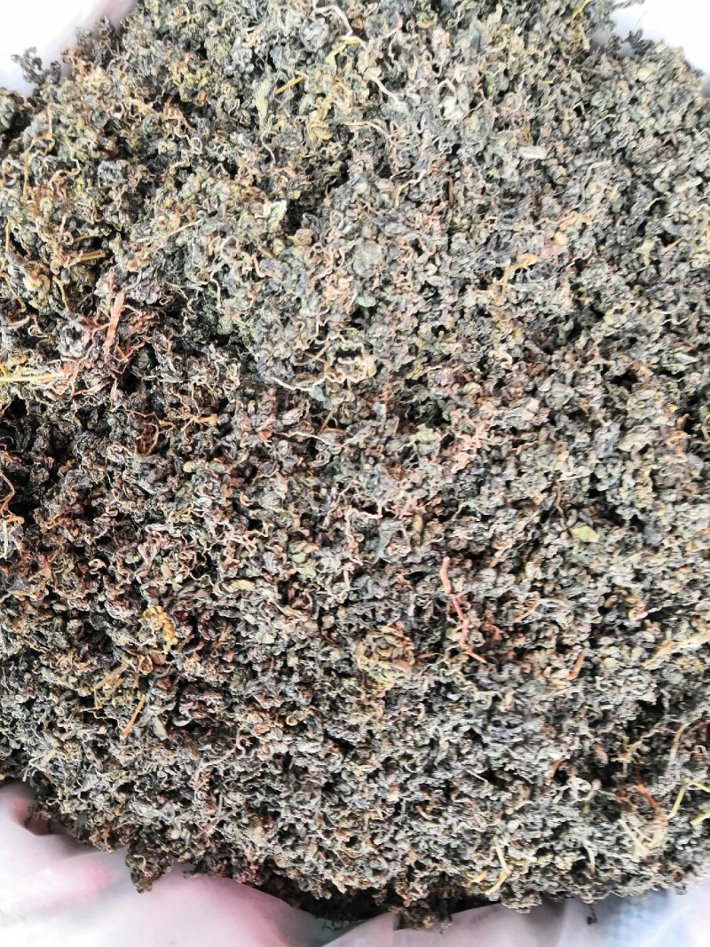 绞股蓝新货绞股蓝茶泡茶各种中药材批发