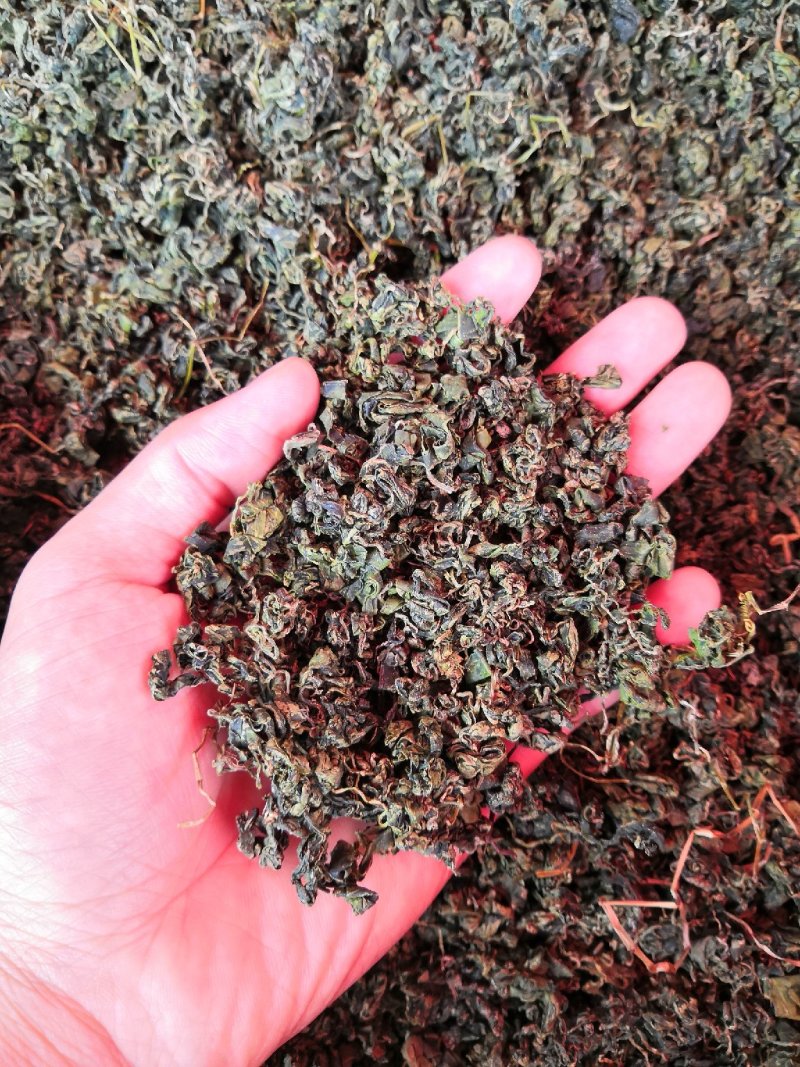 绞股蓝新货绞股蓝茶泡茶各种中药材批发