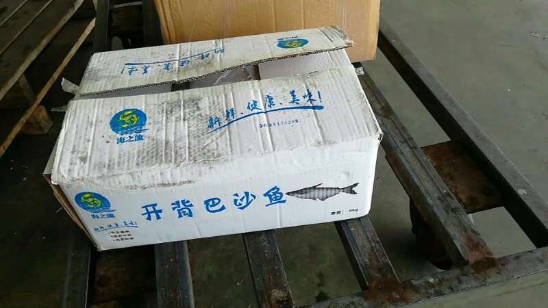 巴沙鱼