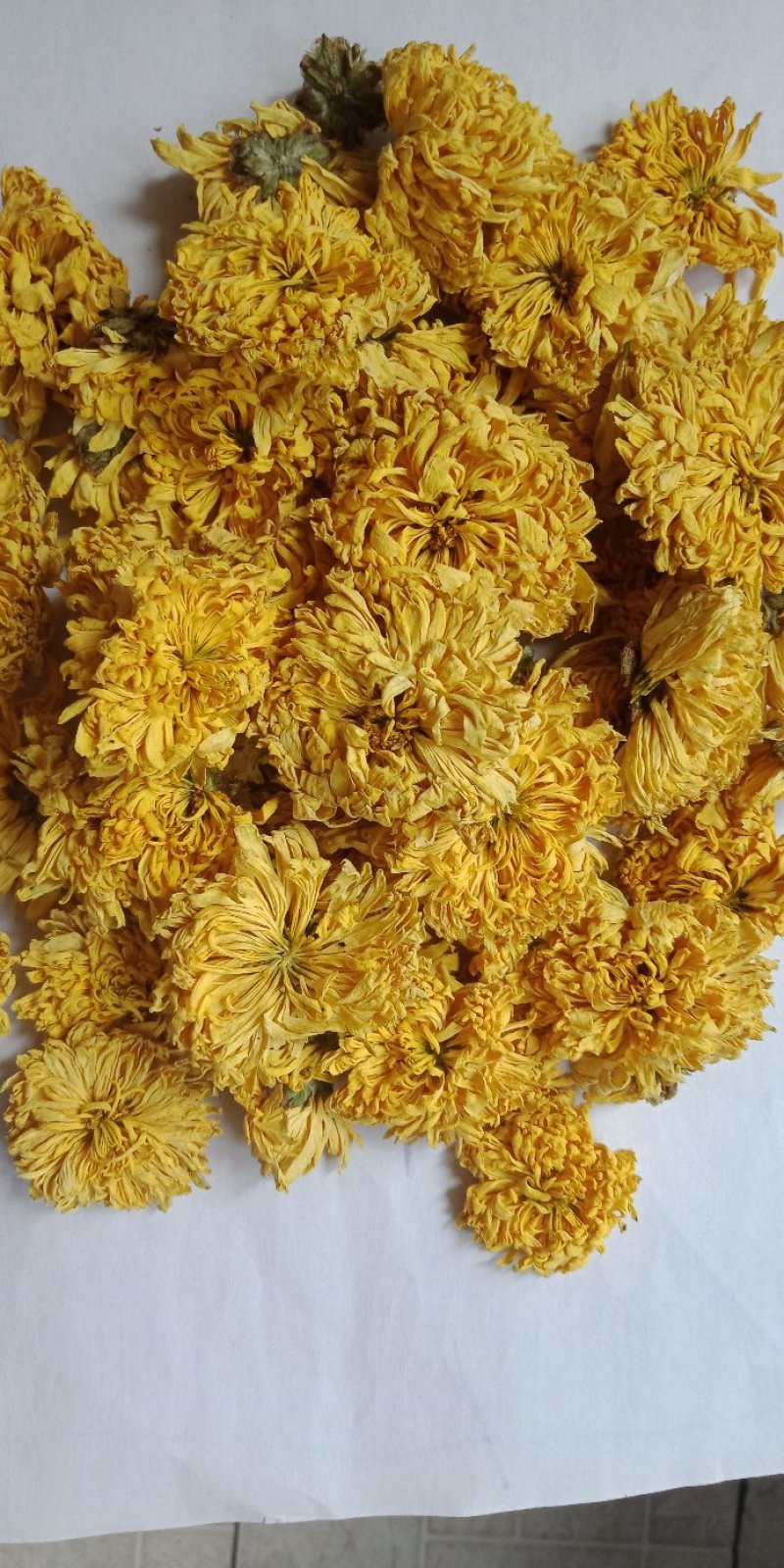 菊花茶袋装500克安微黄山贡菊大朵