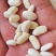 白芸豆可做豆沙，化妆品厂原料，规模种植，全年有货