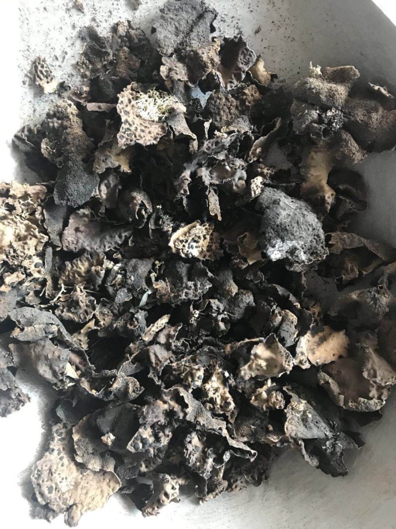 石耳一公斤起卖大部分地区包邮量大从优