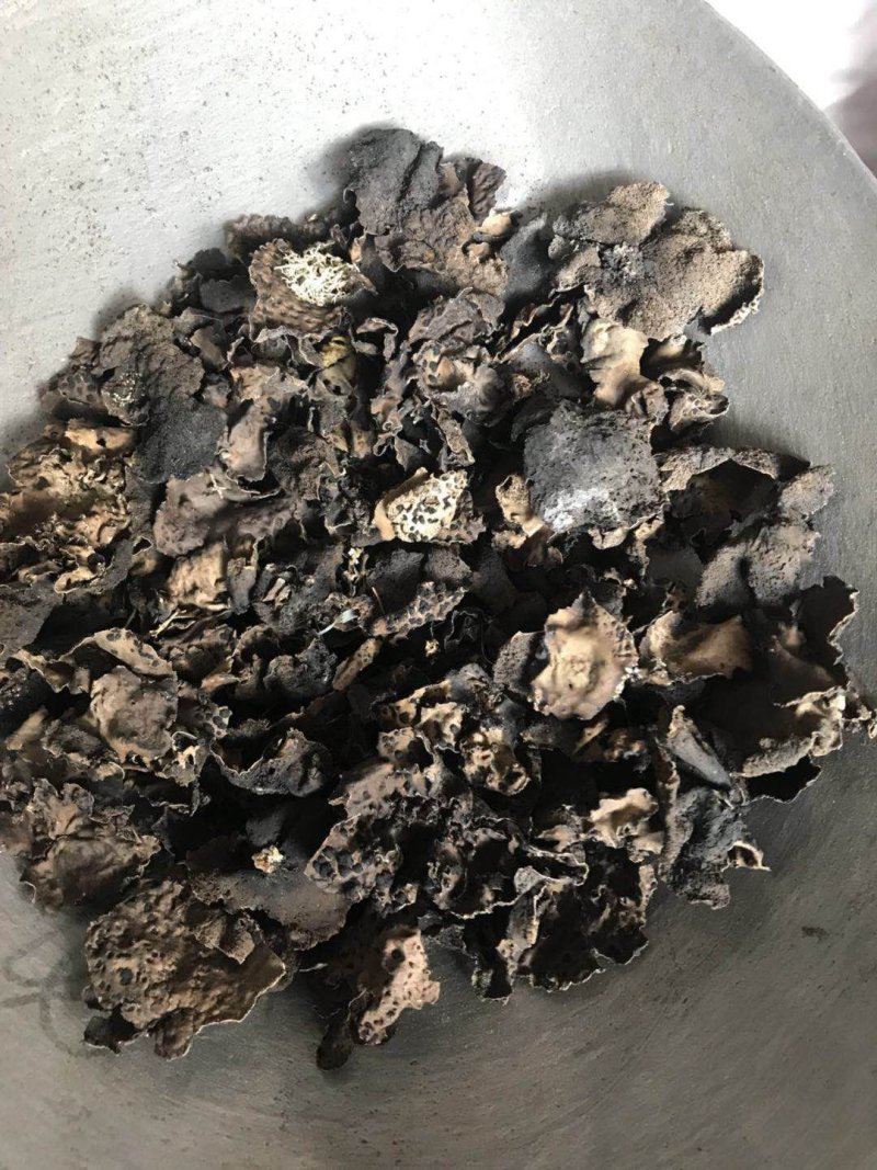 石耳一公斤起卖大部分地区包邮量大从优