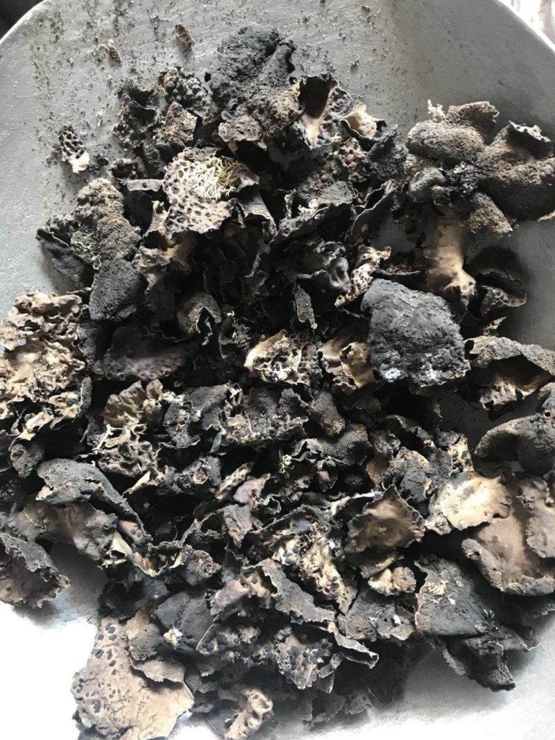石耳一公斤起卖大部分地区包邮量大从优