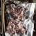 鱿鱼须冷冻水产八爪鱼脚小章鱼足海鲜鲜活火锅食材配菜新鲜鱿