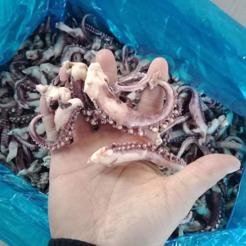 鱿鱼须冷冻水产八爪鱼脚小章鱼足海鲜鲜活火锅食材配菜新鲜鱿