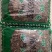 猫须草广西干货量大从优常年经营各种中药材