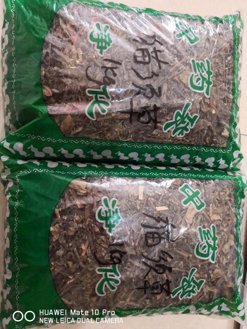 猫须草广西干货量大从优常年经营各种中药材