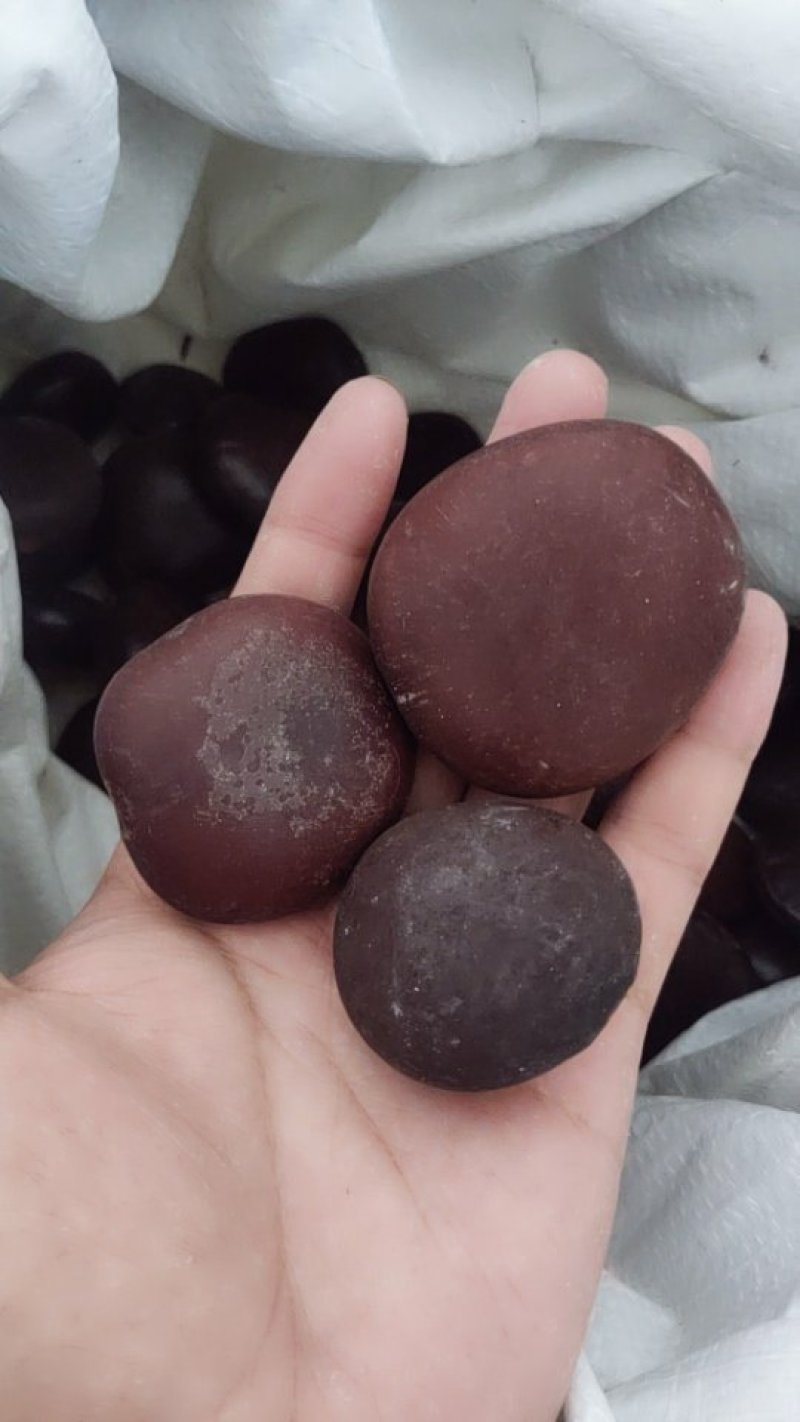木腰子，榼藤子，中药材，阴阳子