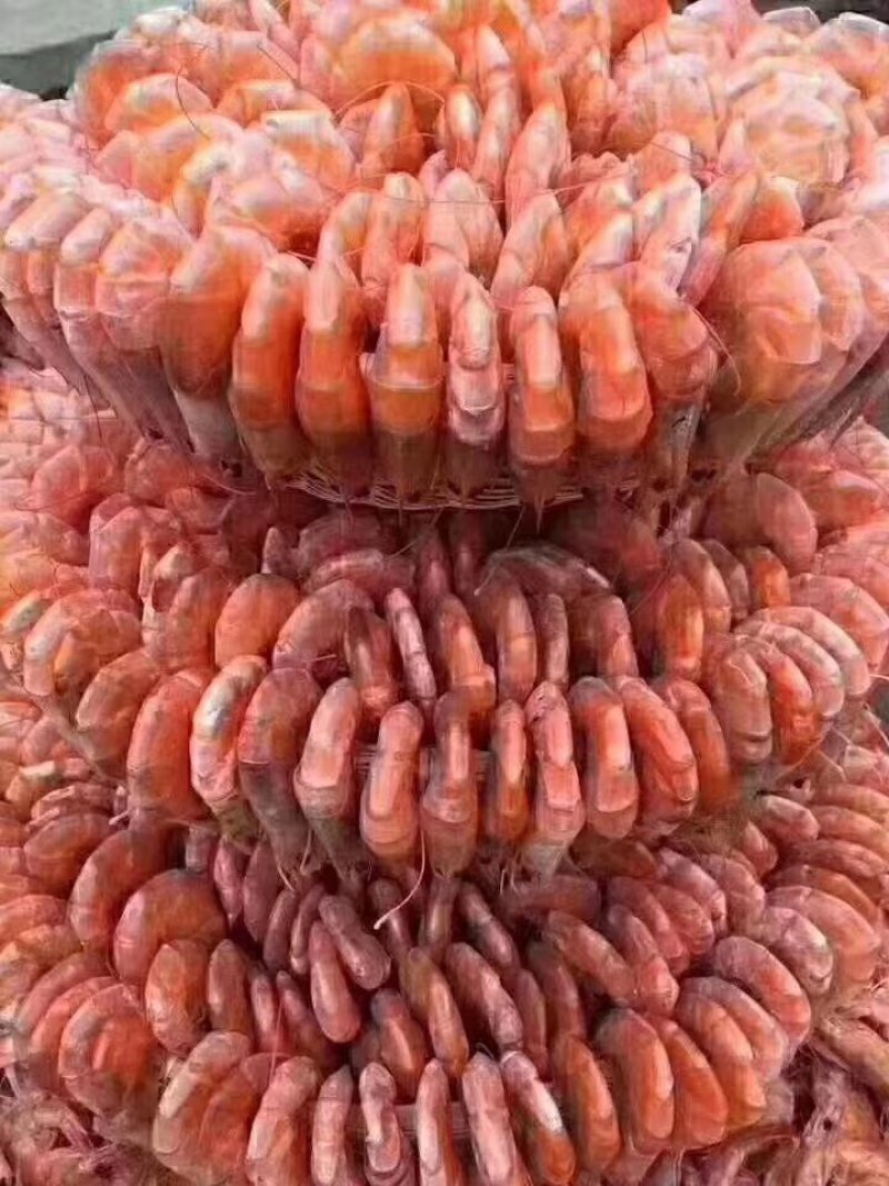 精品碳烤干虾烤对虾补钙