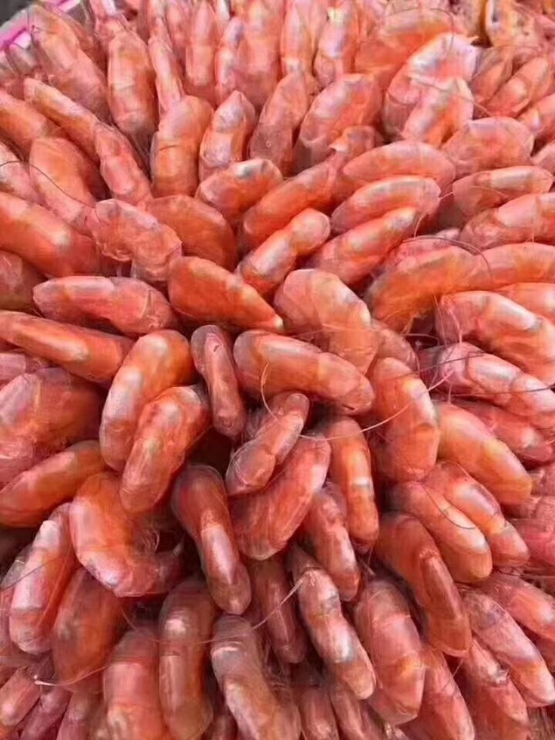 精品碳烤干虾烤对虾补钙