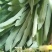 野生蔬菜长白山特产黑土地的野生新鲜现采菜曲么菜