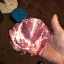 国产新鲜猪头分割猪颈肉全瘦肉