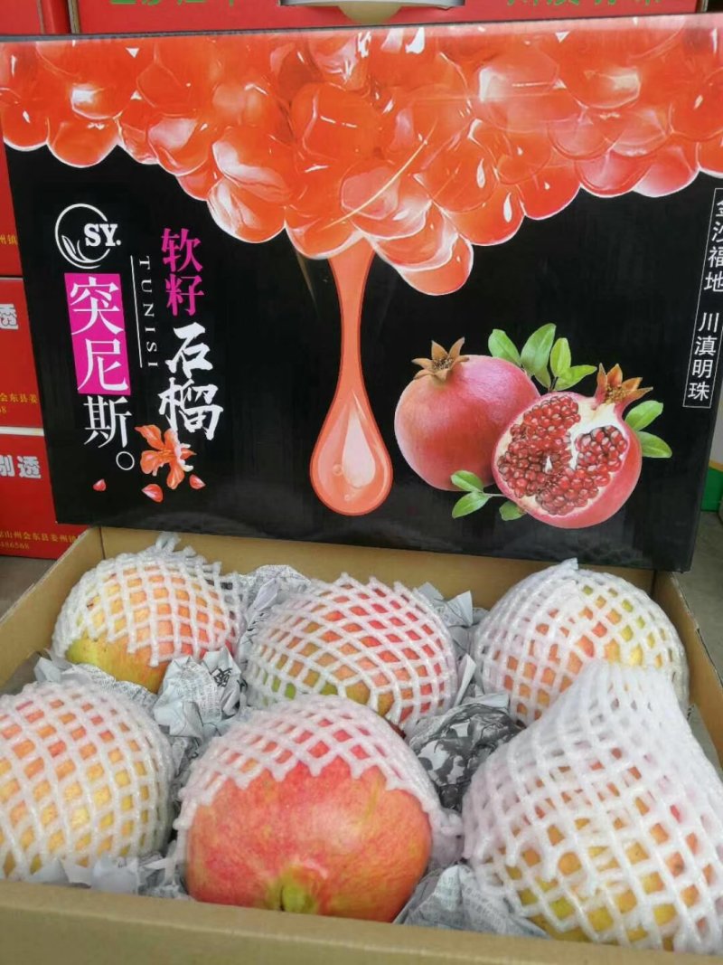 软子石榴供应
