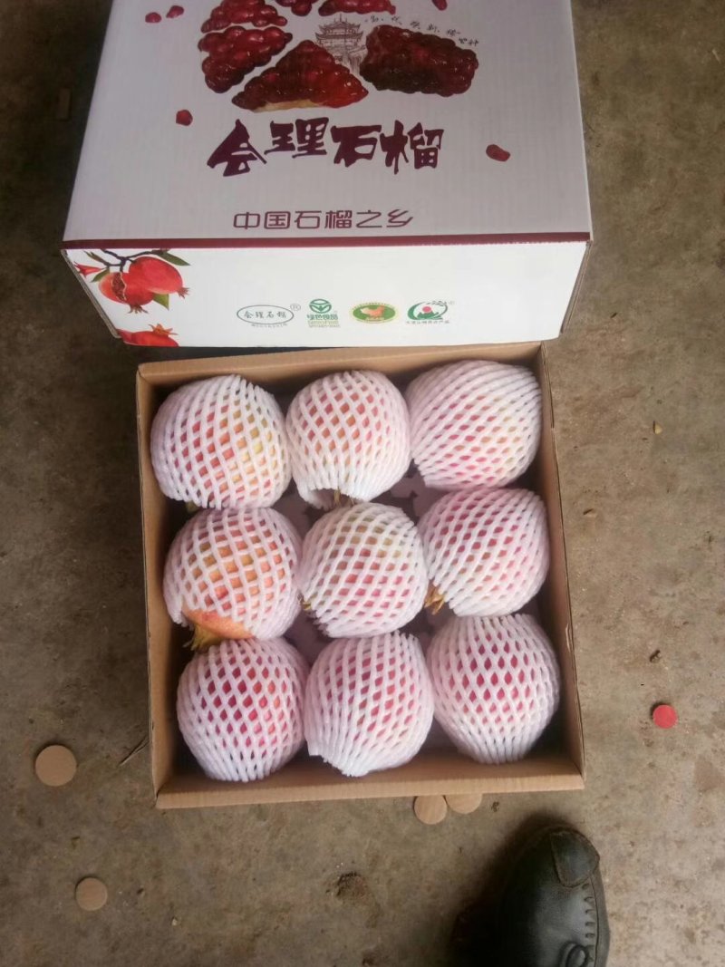 软子石榴供应