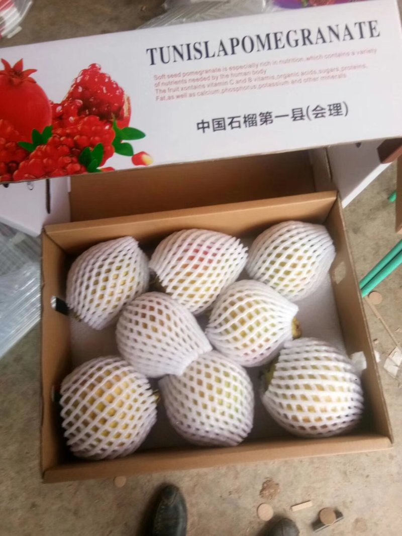 软子石榴供应