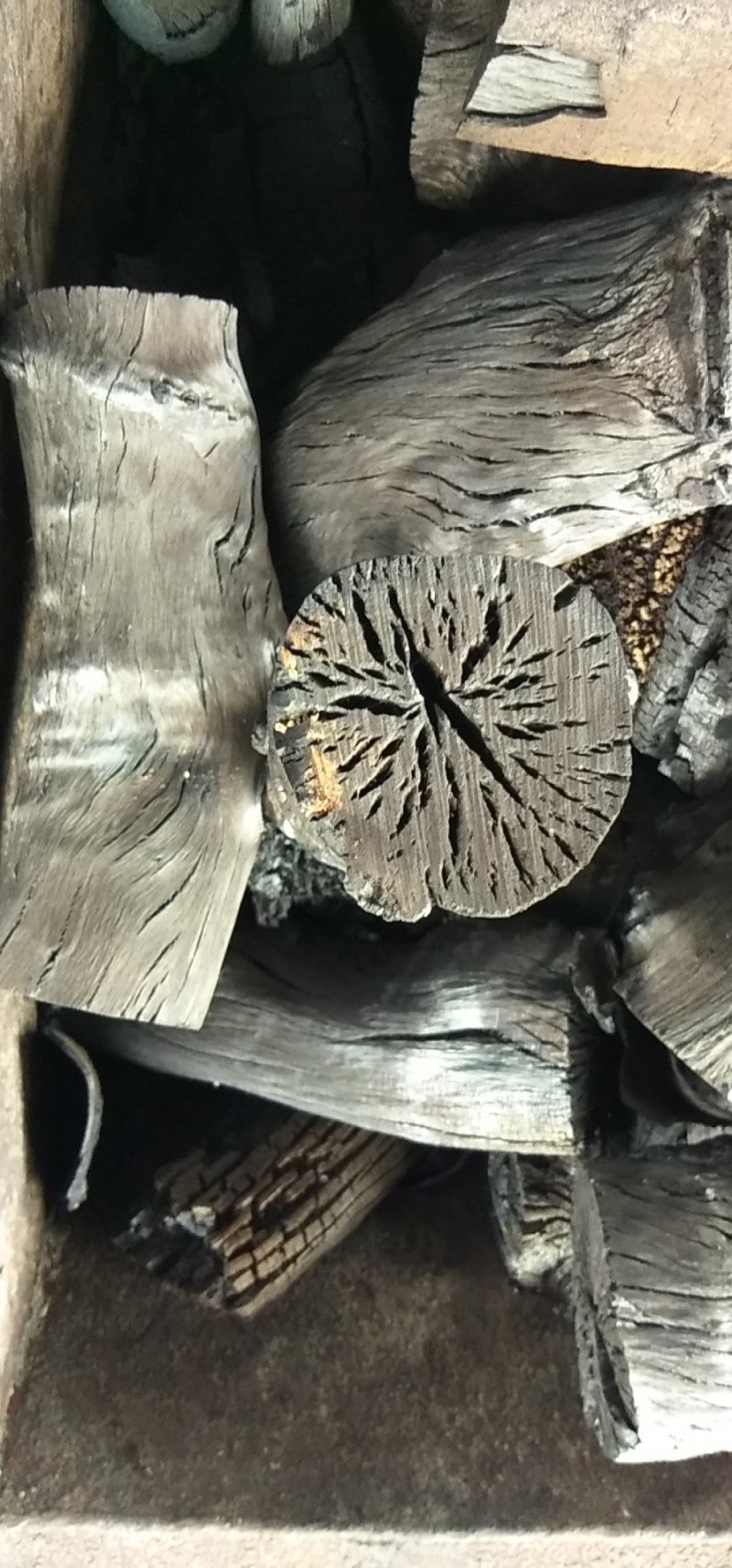 荔枝树-龙眼树优质炭