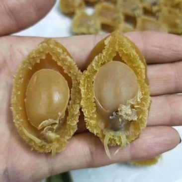 40头鲍鱼