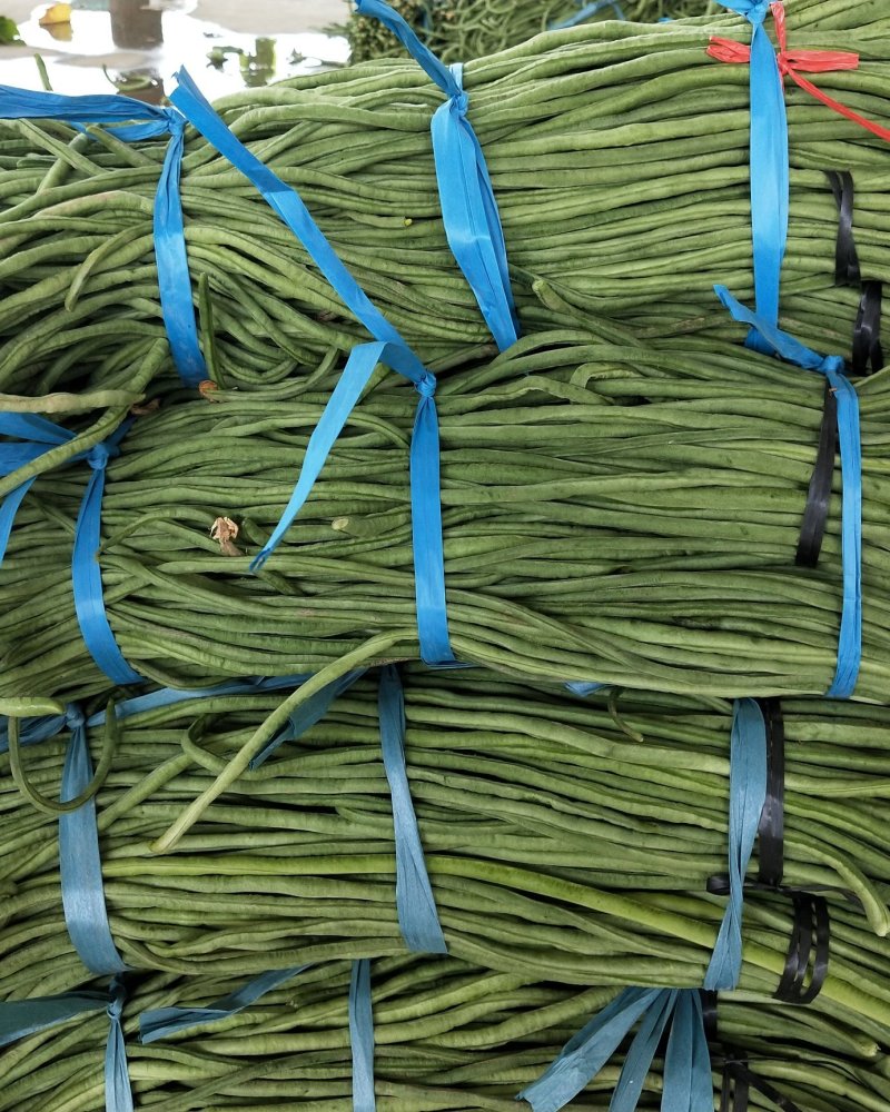 长豆角大量上市中！质量很好！主要蔬菜基地！