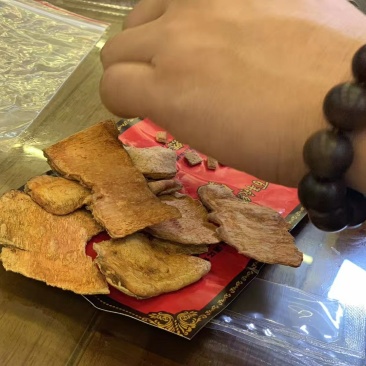 牛樟菇