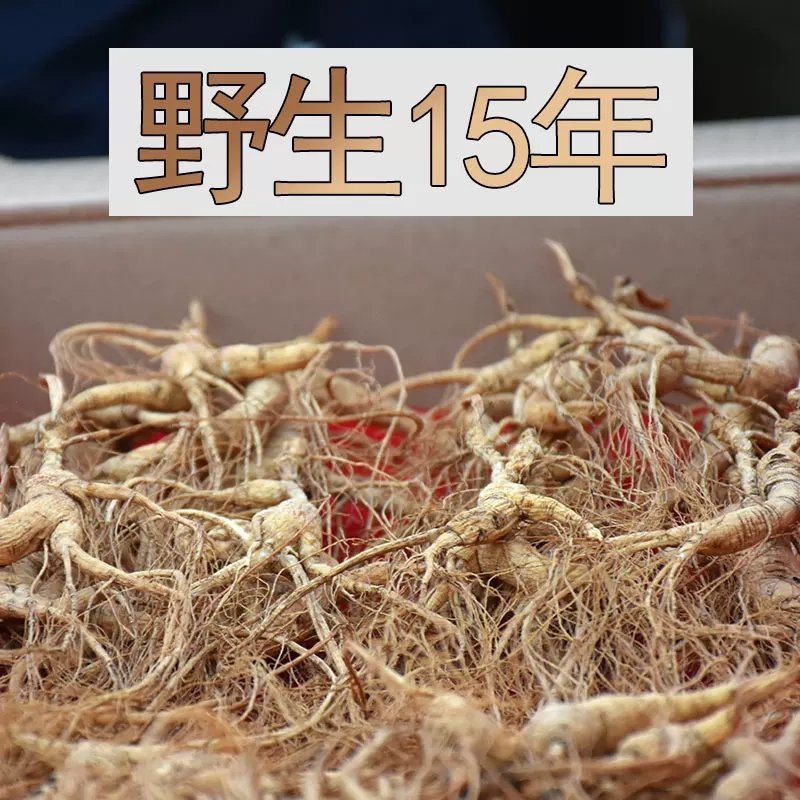 人参长白山野山参15年以上足龄山参礼盒50克/盒包邮