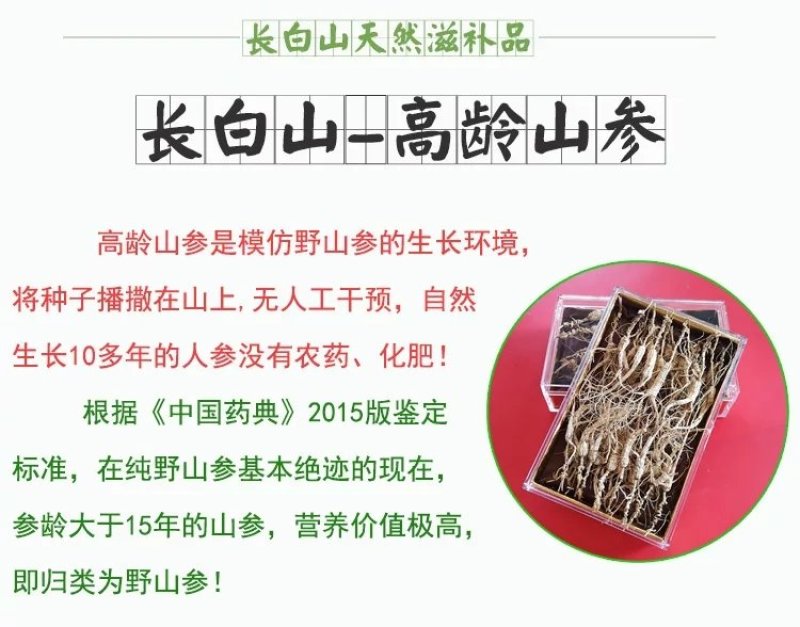 人参长白山野山参15年以上足龄山参礼盒50克/盒包邮