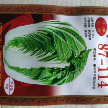 大白菜种子87114大白菜种子耐寒抗病耐储存，冬季大白菜
