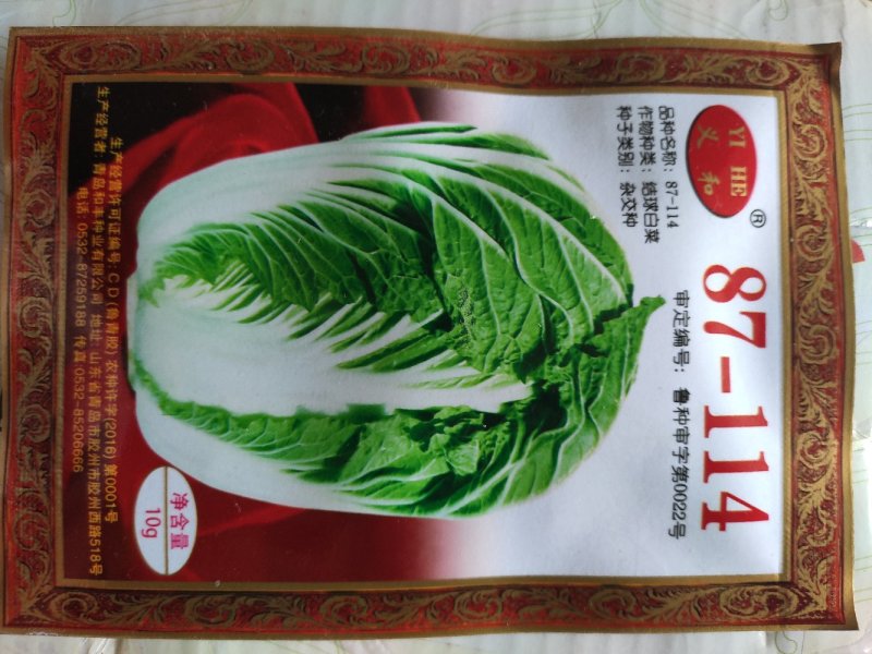 大白菜种子87114大白菜种子耐寒抗病耐储存，冬季大白菜