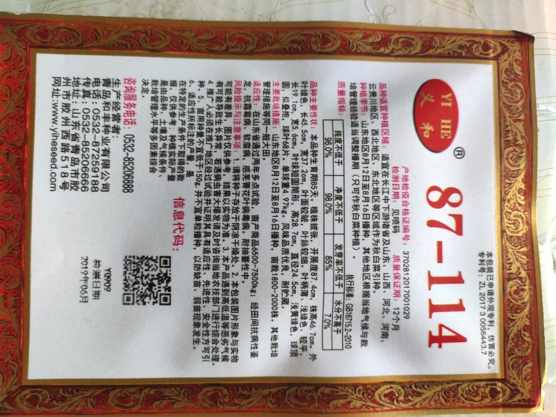 大白菜种子87114大白菜种子耐寒抗病耐储存，冬季大白菜