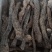【包邮】野生肉苁蓉内蒙古阿拉善沙漠人参250克