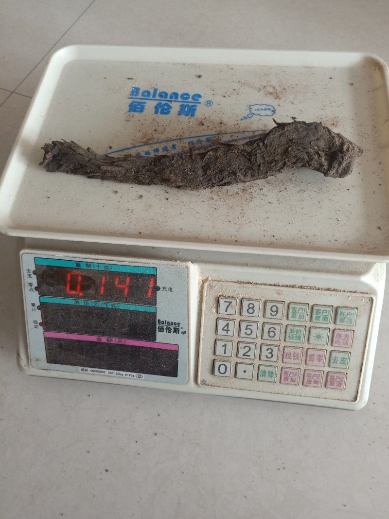 【包邮】野生肉苁蓉内蒙古阿拉善沙漠人参250克