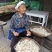 青川椴木银耳，高山半野生银耳