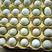 散养绿壳鸡蛋养殖户批发零售支持带发