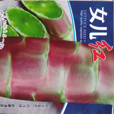 女儿红莴笋种子皮淡绿色肉浅绿脆嫩清香耐寒性强丰产适应性广