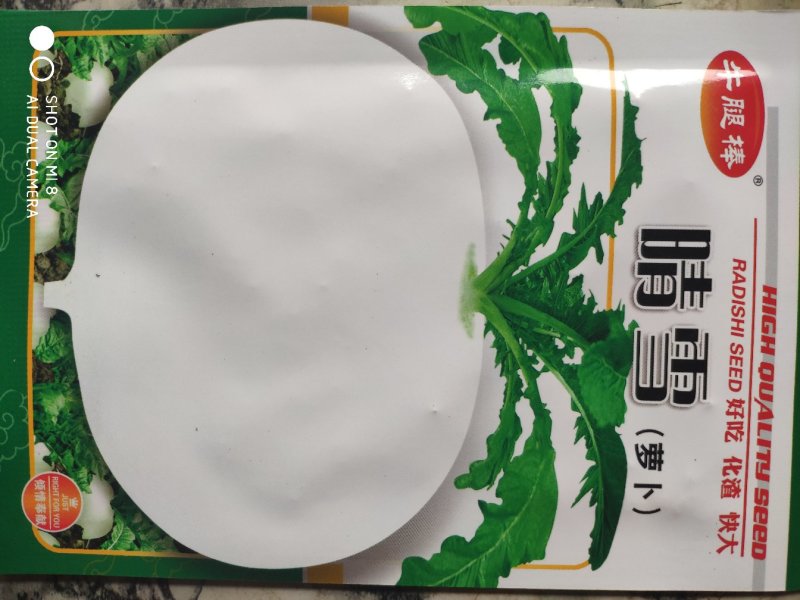 晴雪萝卜种子中早熟皮肉雪白不易糠心耐抽苔汁多味甜单果4斤