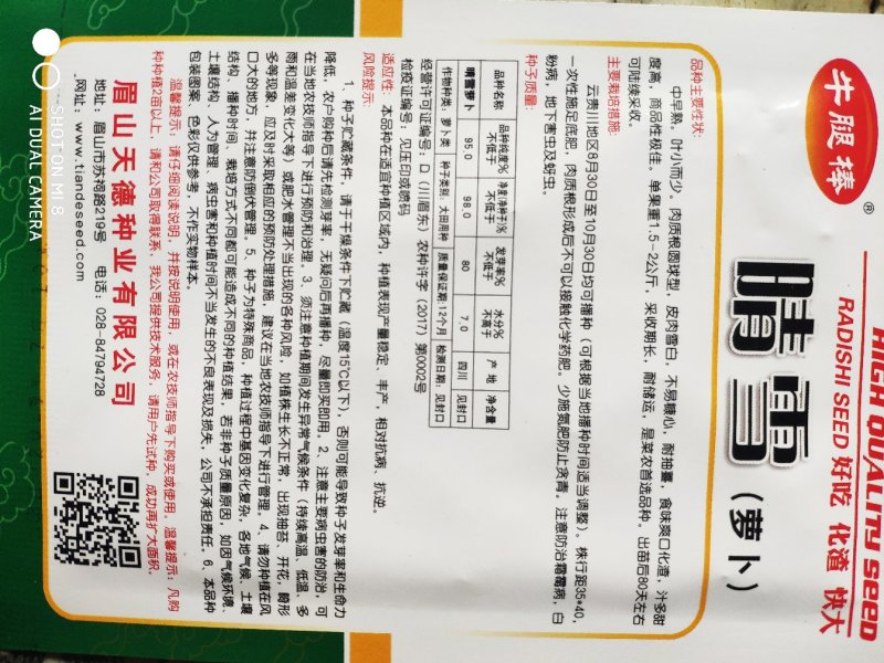 晴雪萝卜种子中早熟皮肉雪白不易糠心耐抽苔汁多味甜单果4斤
