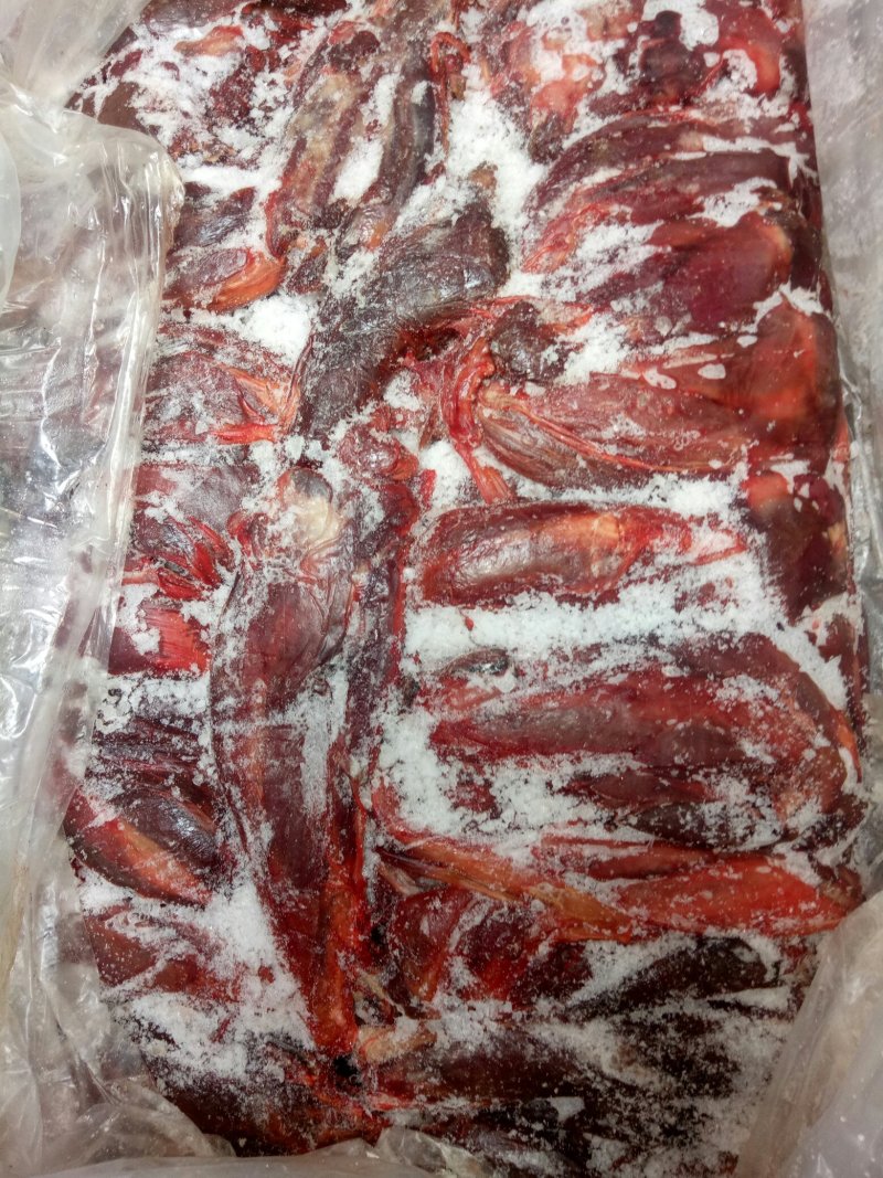驴肉请选购优质驴肉，马肉，驴大肠等