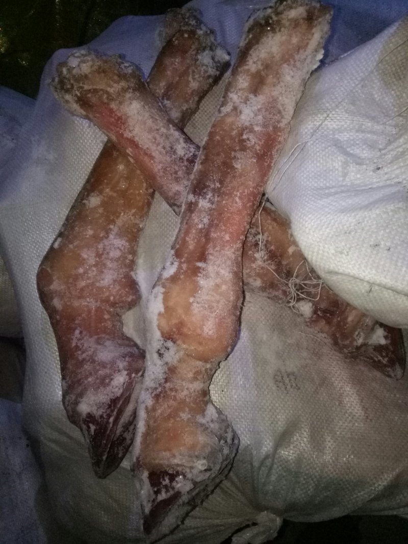 驴肉请选购优质驴肉，马肉，板肠，驴下水