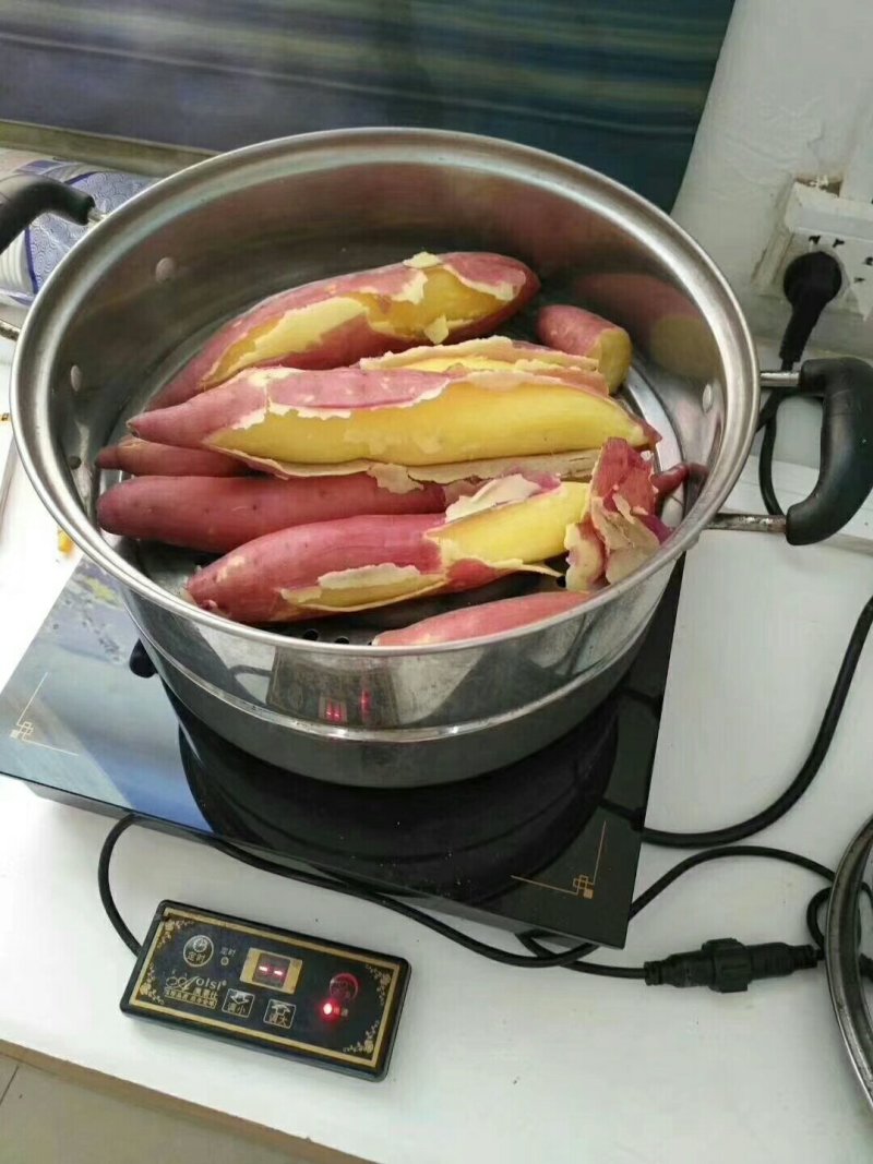 沙地板栗红薯新鲜上市