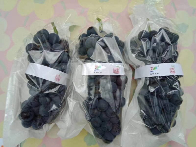 精品葡萄包装袋袋梯形葡萄套袋一面透明防雾保鲜膜一面纸