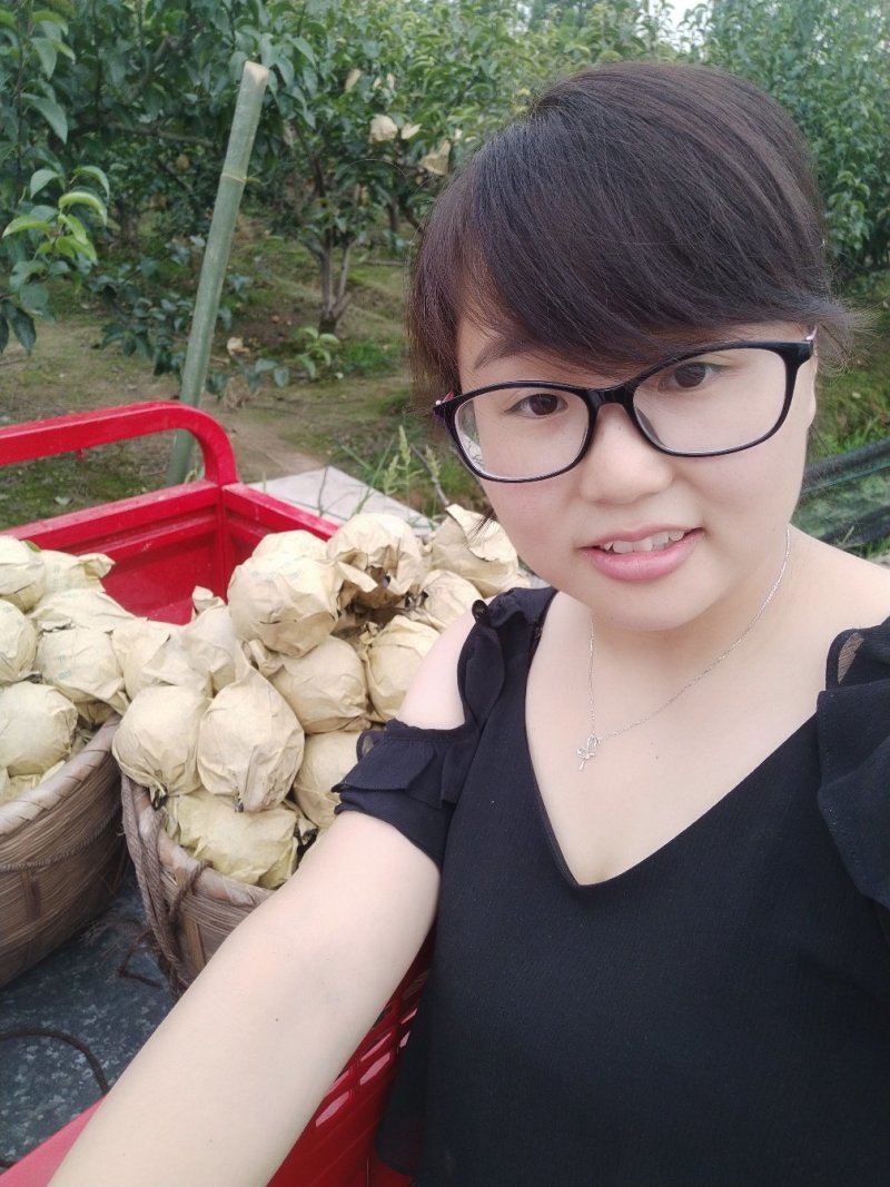 梨子丰水