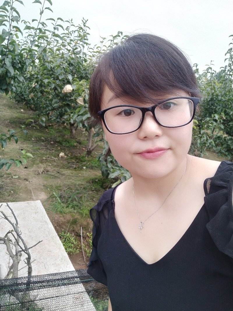 梨子丰水