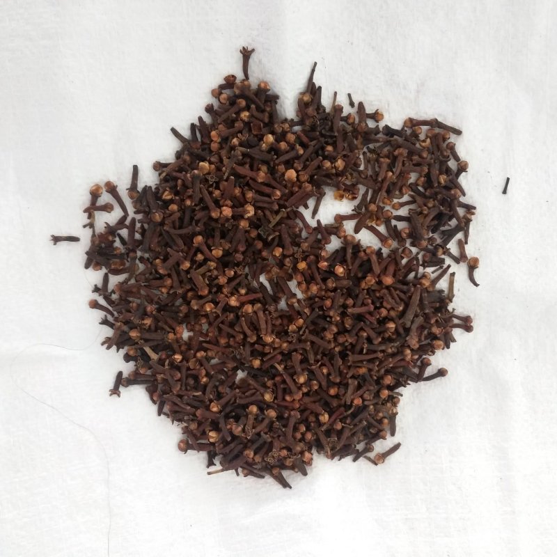 丁香振兴药材批发供应香料丁香规格齐全产地直供一手货源