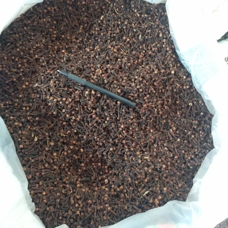 丁香振兴药材批发供应香料丁香规格齐全产地直供一手货源