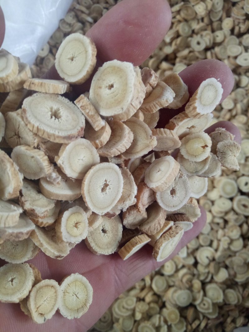 甘肃地产优质纯棉黄芪圆片大量供应，有需要的可联系