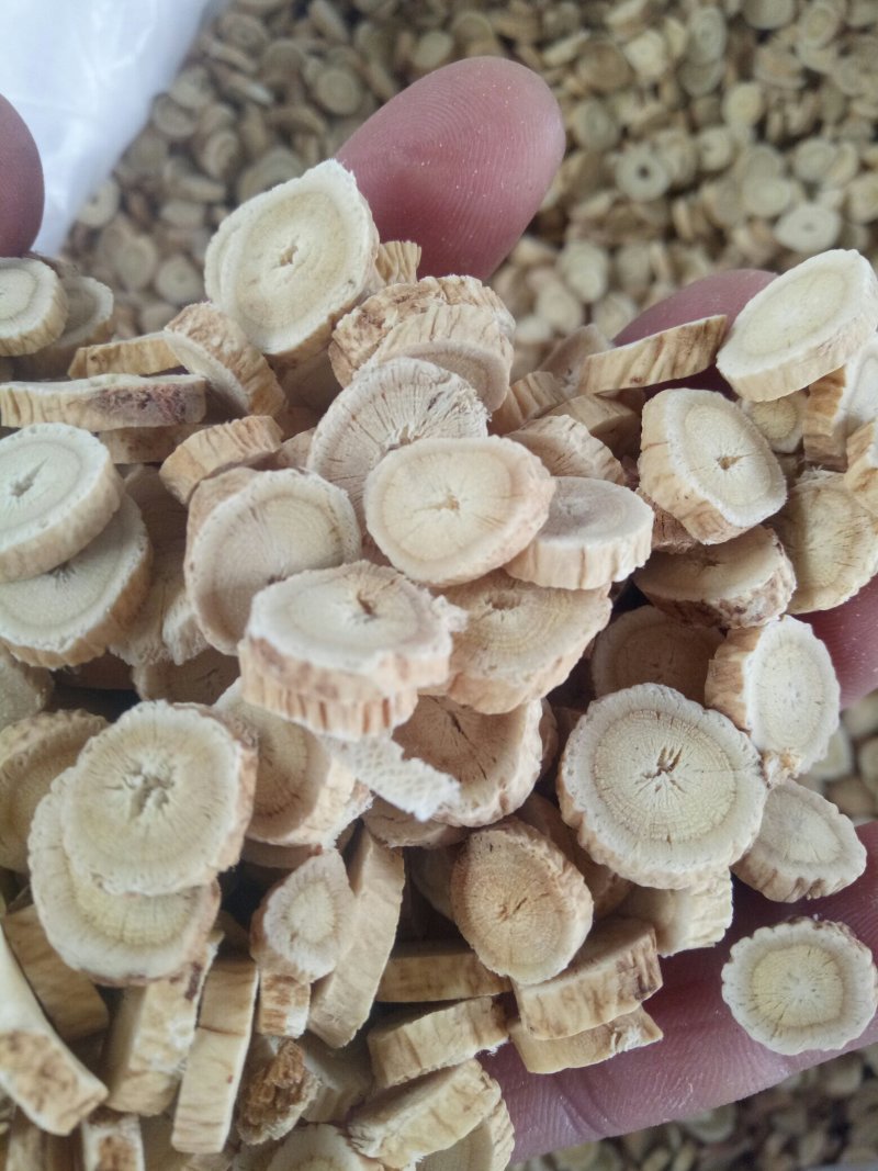 甘肃地产优质纯棉黄芪圆片大量供应，有需要的可联系