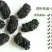 新疆吐鲁番野生桑葚干