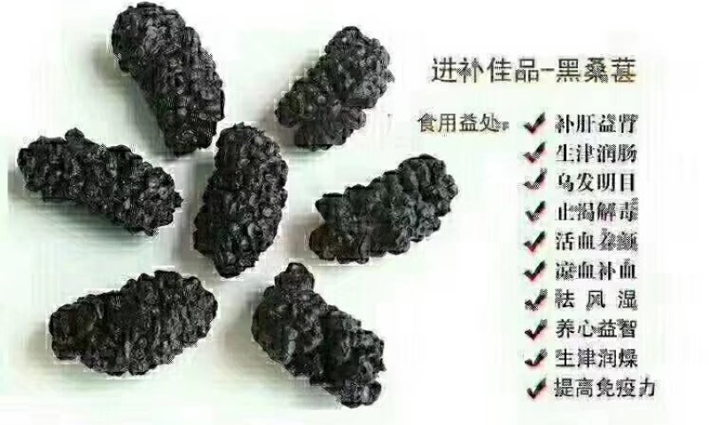 新疆吐鲁番野生桑葚干
