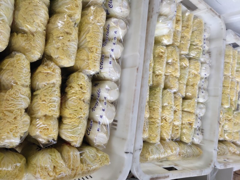 精品娃娃菜，纯黄，万亩基地直发！欢迎合作