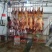 自产自销蒙古国马肉，精品马肉